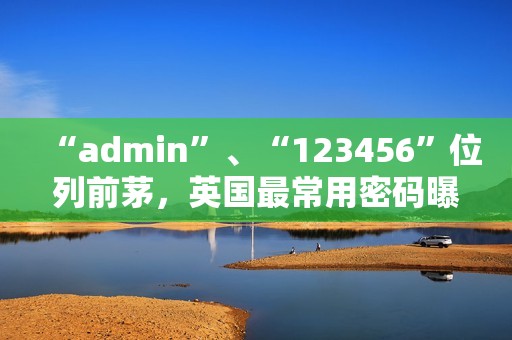 “admin”、“123456”位列前茅，英国最常用密码曝光