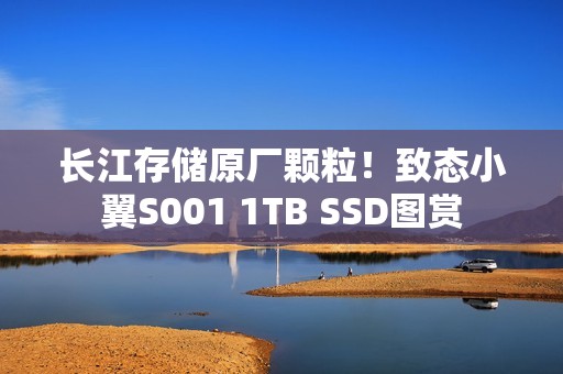 长江存储原厂颗粒！致态小翼S001 1TB SSD图赏