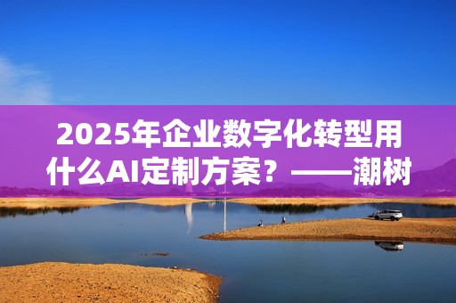 2025年企业数字化转型用什么AI定制方案？——潮树科技全面解析