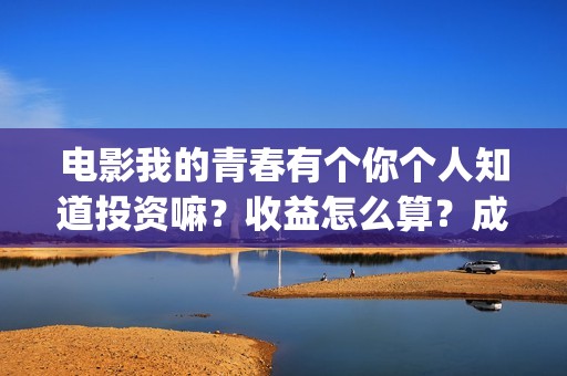 电影我的青春有个你个人知道投资嘛？收益怎么算？成本多少？(我的青春有_)