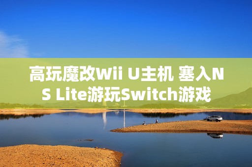 高玩魔改Wii U主机 塞入NS Lite游玩Switch游戏