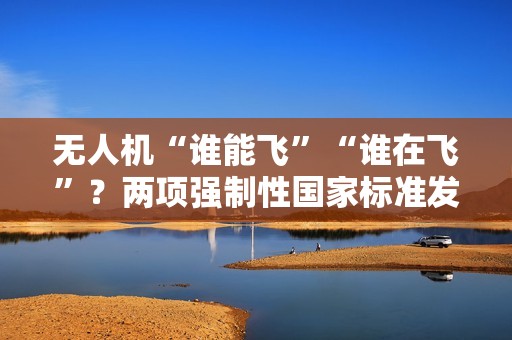 无人机“谁能飞”“谁在飞”？两项强制性国家标准发布，明年 5 月起实施