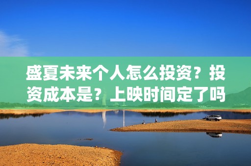 盛夏未来个人怎么投资？投资成本是？上映时间定了吗？(盛夏未来hey siri)