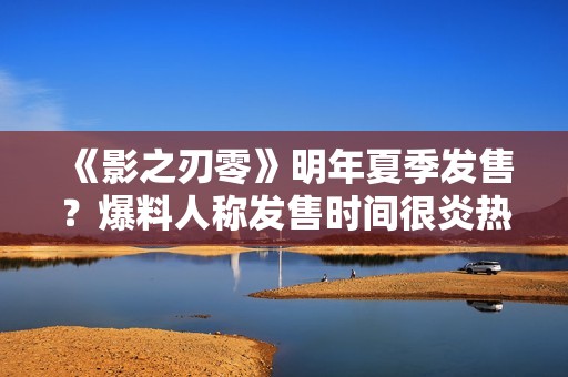 《影之刃零》明年夏季发售？爆料人称发售时间很炎热