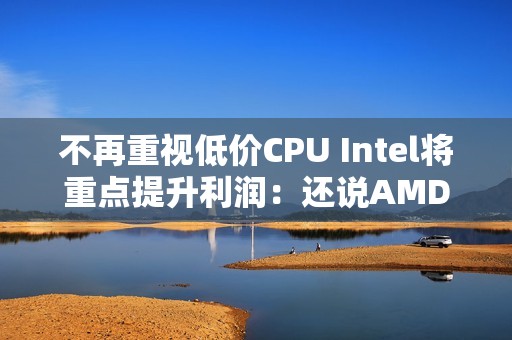不再重视低价CPU Intel将重点提升利润：还说AMD也一样