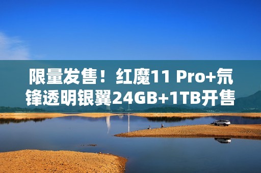 限量发售！红魔11 Pro+氘锋透明银翼24GB+1TB开售