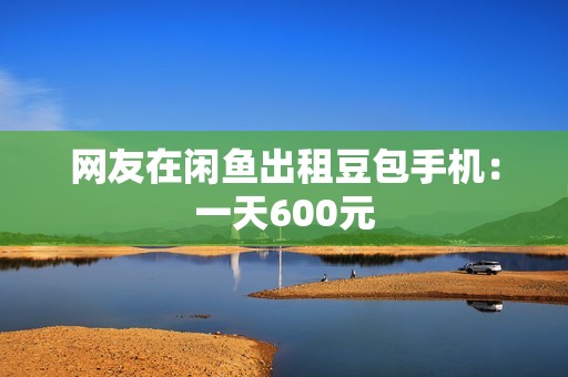 网友在闲鱼出租豆包手机：一天600元