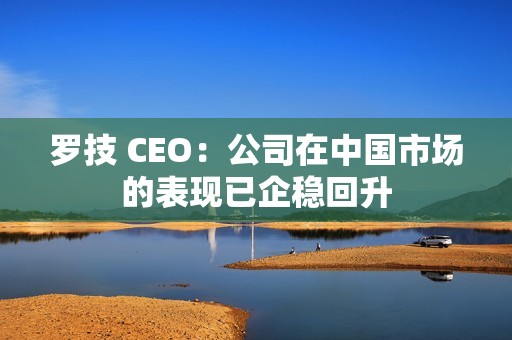 罗技 CEO：公司在中国市场的表现已企稳回升