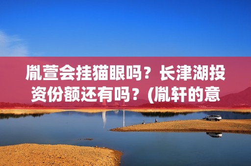 胤萱会挂猫眼吗？长津湖投资份额还有吗？(胤轩的意思)