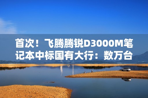 首次！飞腾腾锐D3000M笔记本中标国有大行：数万台规模