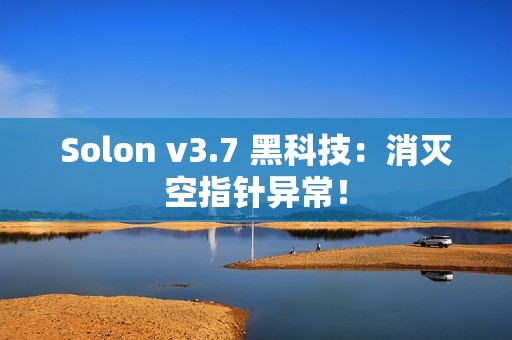 Solon v3.7 黑科技：消灭空指针异常！