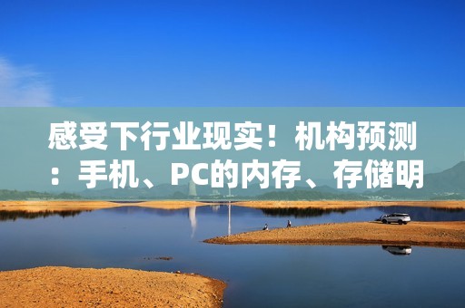 感受下行业现实！机构预测：手机、PC的内存、存储明年Q1至少涨幅30%！