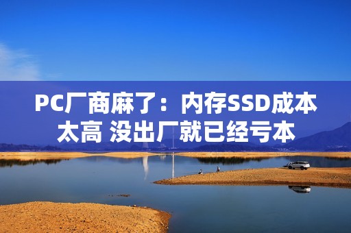 PC厂商麻了：内存SSD成本太高 没出厂就已经亏本