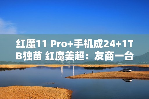 红魔11 Pro+手机成24+1TB独苗 红魔姜超：友商一台都没有