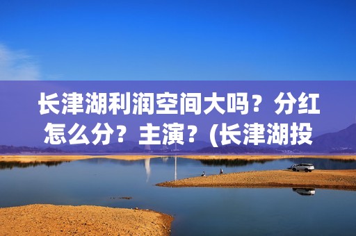 长津湖利润空间大吗？分红怎么分？主演？(长津湖投资收益有多少)