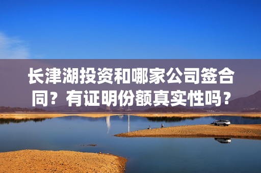 长津湖投资和哪家公司签合同？有证明份额真实性吗？(长津湖投资太大估计亏本)