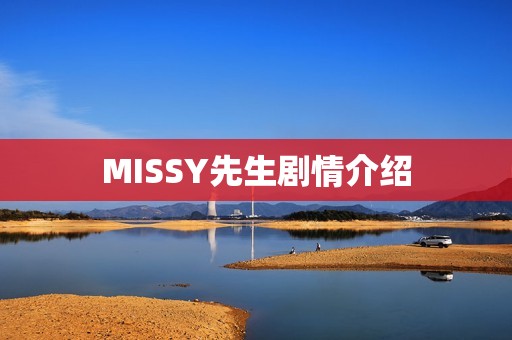 MISSY先生剧情介绍