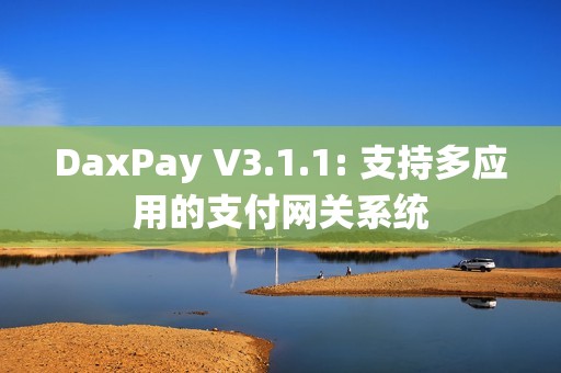 DaxPay V3.1.1: 支持多应用的支付网关系统