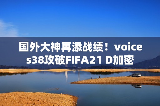 国外大神再添战绩！voices38攻破FIFA21 D加密