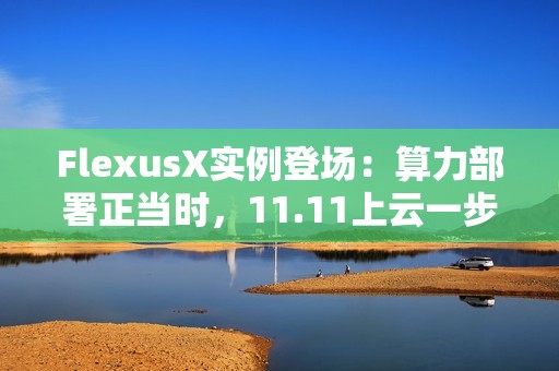 FlexusX实例登场：算力部署正当时，11.11上云一步到位