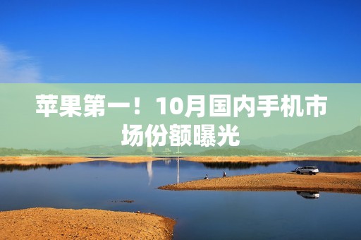 苹果第一！10月国内手机市场份额曝光