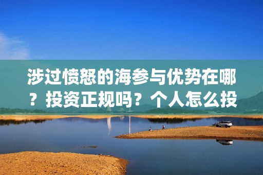 涉过愤怒的海参与优势在哪？投资正规吗？个人怎么投资？(涉过愤怒的海参演的日本演员)