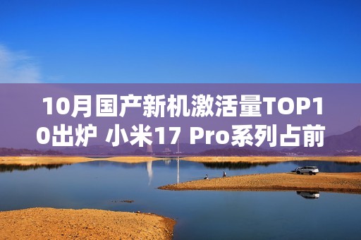 10月国产新机激活量TOP10出炉 小米17 Pro系列占前二