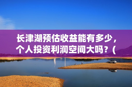 长津湖预估收益能有多少，个人投资利润空间大吗？(长津湖利好)