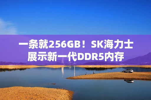 一条就256GB！SK海力士展示新一代DDR5内存