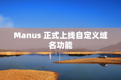 Manus 正式上线自定义域名功能