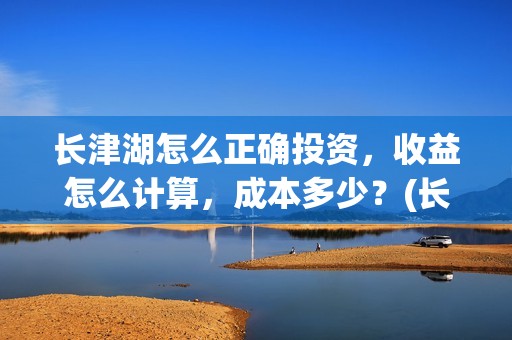 长津湖怎么正确投资，收益怎么计算，成本多少？(长津湖咋样)