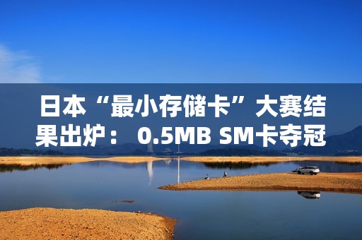 日本“最小存储卡”大赛结果出炉： 0.5MB SM卡夺冠