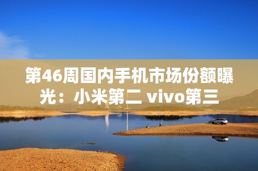 第46周国内手机市场份额曝光：小米第二 vivo第三