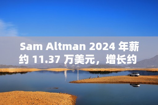 Sam Altman 2024 年薪约 11.37 万美元，增长约 50%