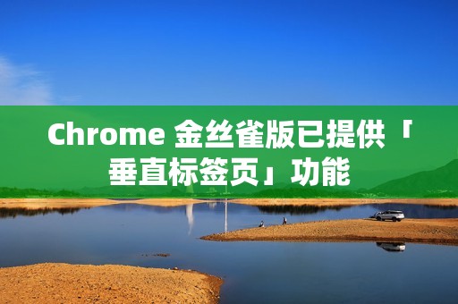 Chrome 金丝雀版已提供「垂直标签页」功能