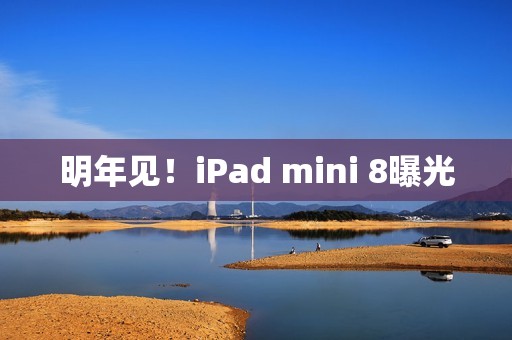 明年见！iPad mini 8曝光