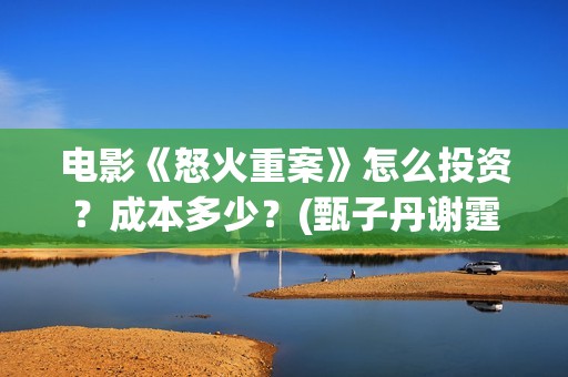电影《怒火重案》怎么投资？成本多少？(甄子丹谢霆锋电影怒火重案)