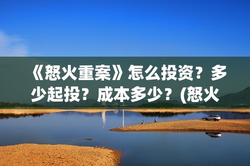 《怒火重案》怎么投资？多少起投？成本多少？(怒火重案说的是什么)