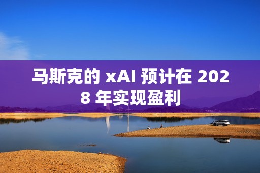 马斯克的 xAI 预计在 2028 年实现盈利