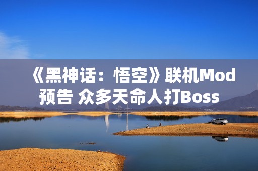 《黑神话：悟空》联机Mod预告 众多天命人打Boss