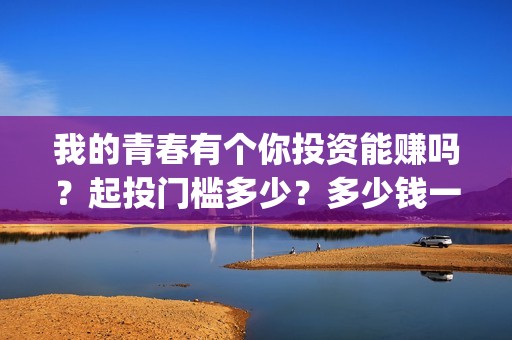 我的青春有个你投资能赚吗？起投门槛多少？多少钱一份？(我的青春有个你结局)