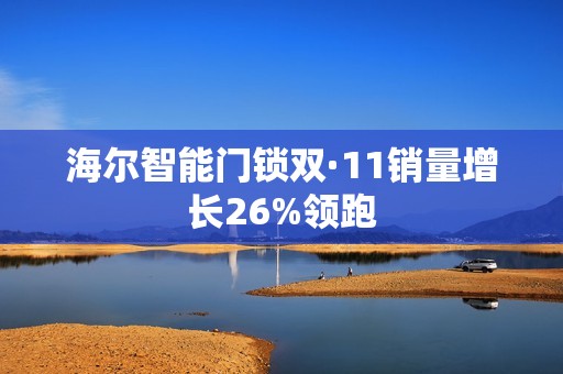 海尔智能门锁双·11销量增长26%领跑