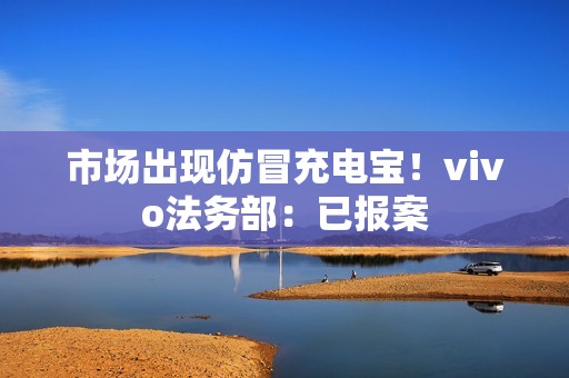 市场出现仿冒充电宝！vivo法务部：已报案