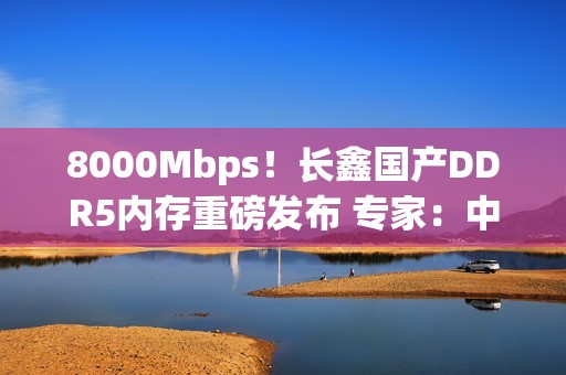 8000Mbps！长鑫国产DDR5内存重磅发布 专家：中国技术与韩国差距消失