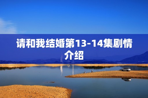 请和我结婚第13-14集剧情介绍