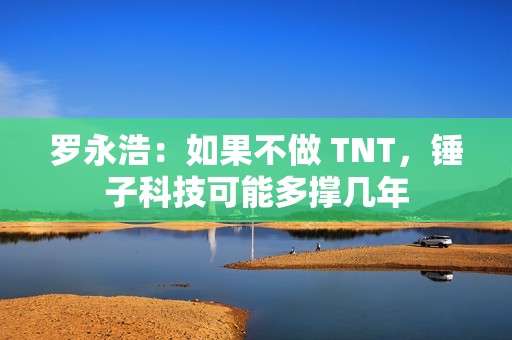 罗永浩：如果不做 TNT，锤子科技可能多撑几年