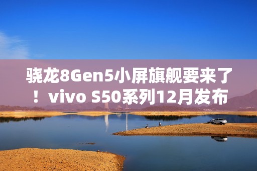 骁龙8Gen5小屏旗舰要来了！vivo S50系列12月发布