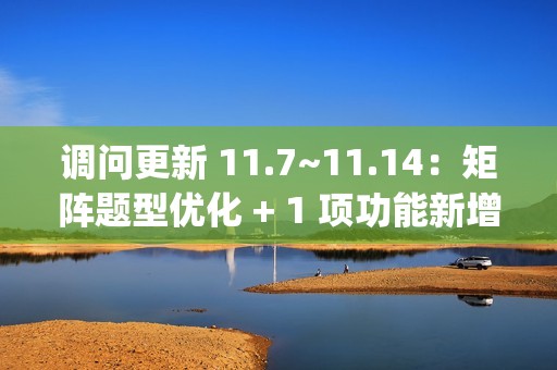 调问更新 11.7~11.14：矩阵题型优化 + 1 项功能新增 + 3 项功能优化 + 3 项 BugFix
