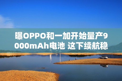 曝OPPO和一加开始量产9000mAh电池 这下续航稳了！