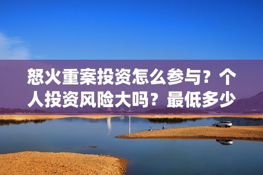 怒火重案投资怎么参与？个人投资风险大吗？最低多少起投？(怒火重案投了多少钱)
